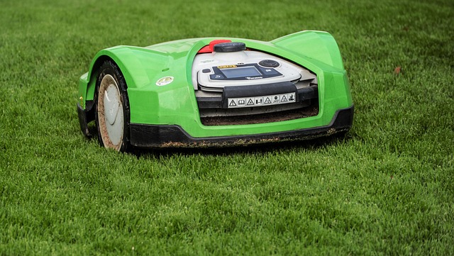 neat grass
